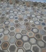 Палас Сота 271-5254